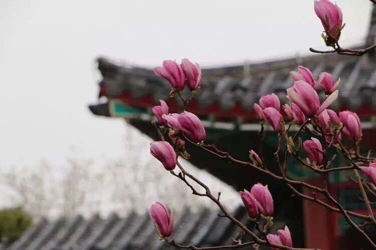 天元標(biāo)靶-噪聲和TSP檢測(cè)