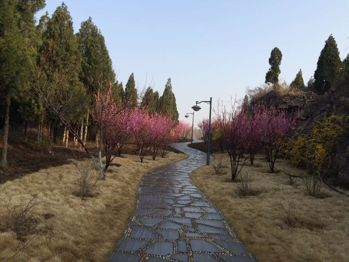 香妃雅竹-公共場(chǎng)所檢測(cè)